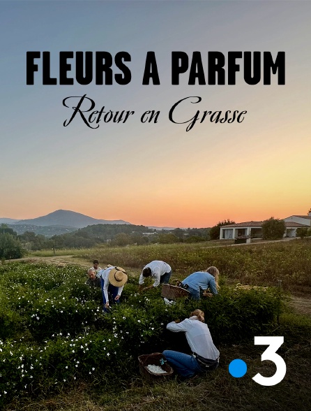 France 3 - Fleurs à parfum, retour en Grasse