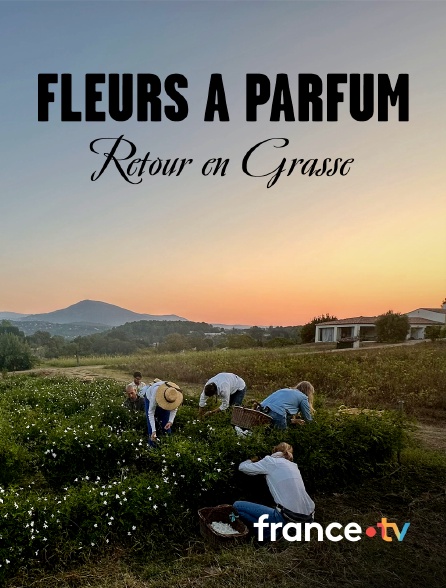 france.tv - Fleurs à parfum, retour en Grasse