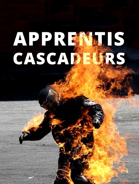 Apprentis cascadeurs