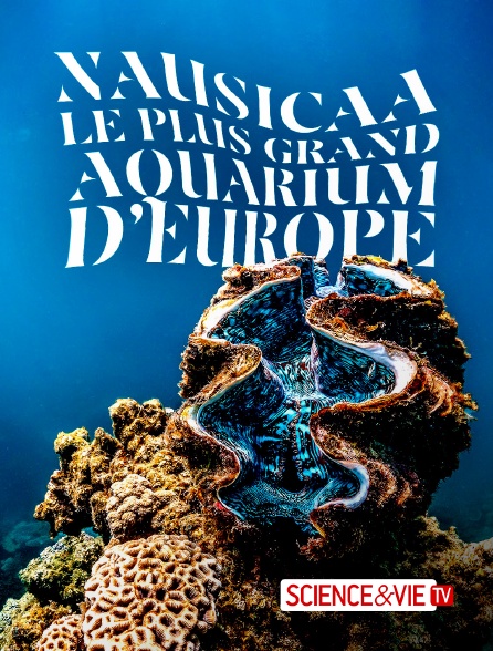 Science et Vie TV - Nausicaa, le plus grand aquarium d'Europe