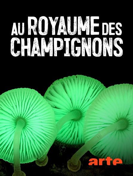Arte - Au royaume des champignons