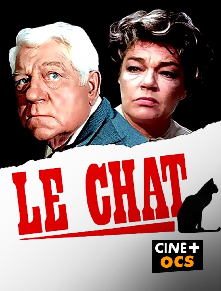 CINÉ Cinéma - Le chat