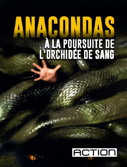 ACTION - Anacondas : à la poursuite de l'orchidée de sang en replay