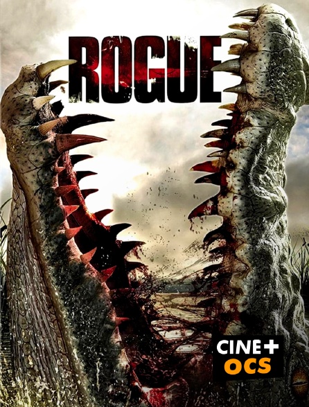 CINÉ Cinéma - Rogue