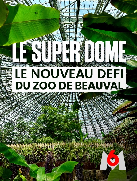 M6 - Le super dôme : le nouveau défi du zoo de Beauval