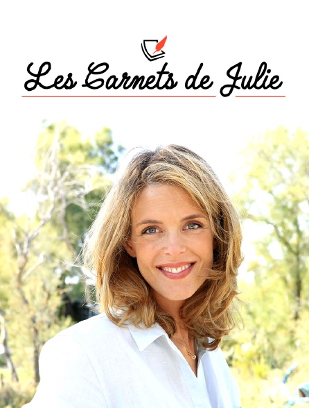 Les carnets de Julie