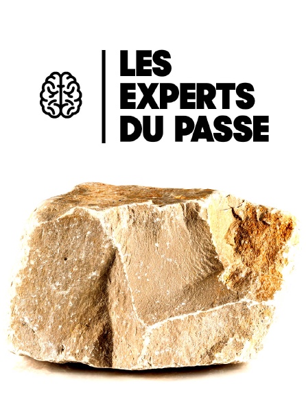 Les experts du passé