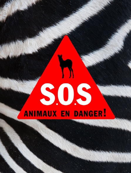 S.O.S. animaux en danger