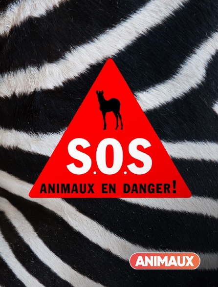 Animaux - S.O.S. animaux en danger