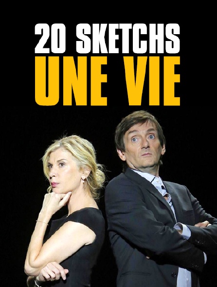 20 sketchs, une vie