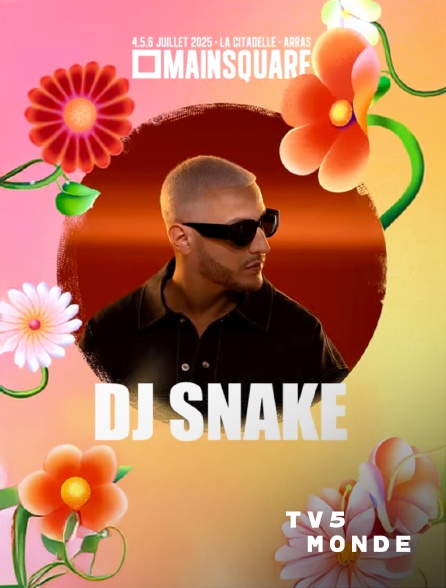TV5MONDE - DJ Snake au Main Square Festival