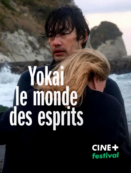 CINE+ Festival - Yōkai, le monde des esprits