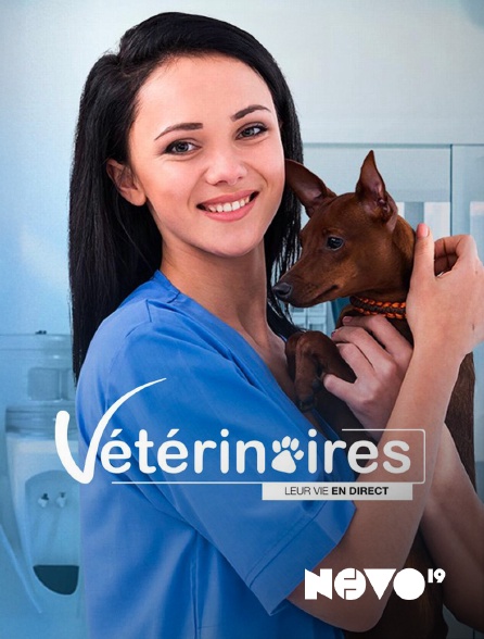NOVO19 - Vétérinaires, leur vie en direct