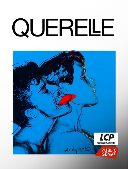 LCP Public Sénat - Querelle