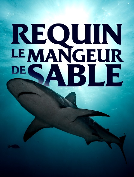 Requin, le mangeur de sable