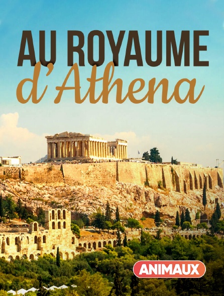 Animaux - Au royaume d'Athéna