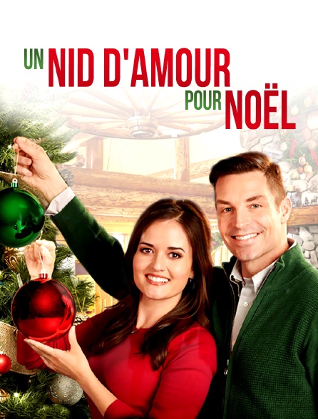 Un nid d'amour pour Noël