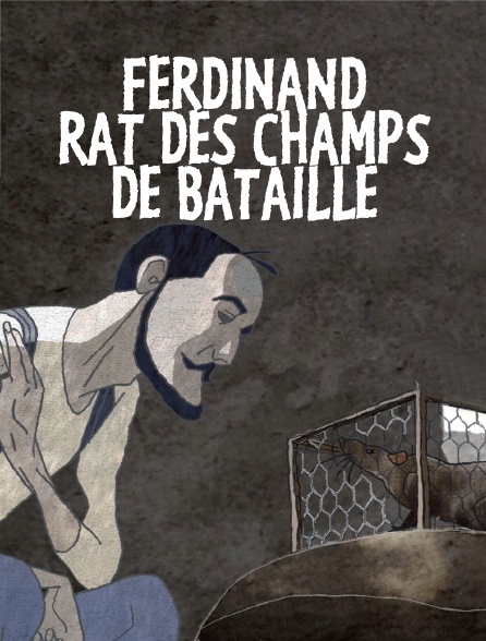 Ferdinand, rat des champs de bataille