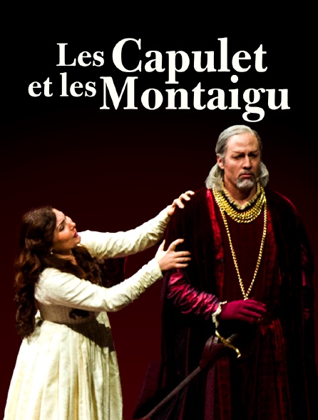 Les Capulet et les Montaigu