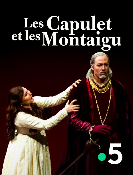 France 5 - Les Capulet et les Montaigu