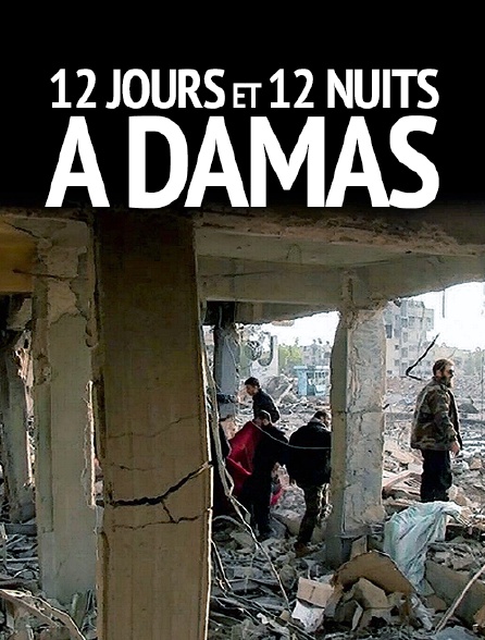 12 jours et 12 nuits à Damas