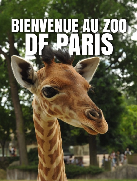 Bienvenue au zoo de Paris