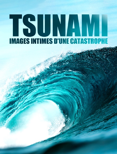 Tsunami : images intimes d'une catastrophe