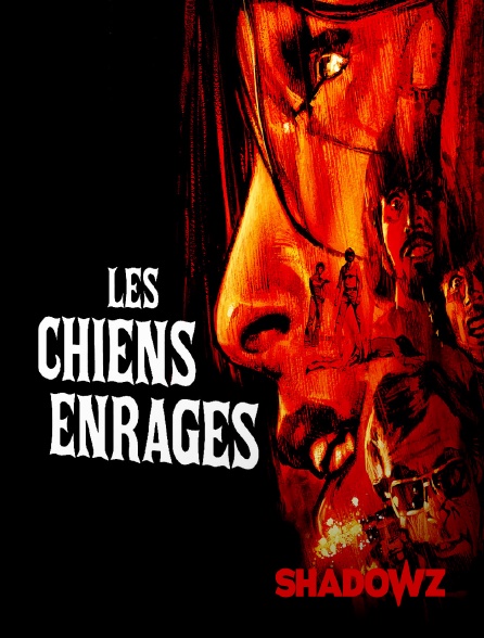 Shadowz - Les chiens enragés