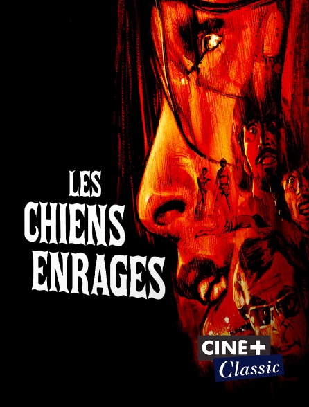 Ciné+ Classic - Les chiens enragés