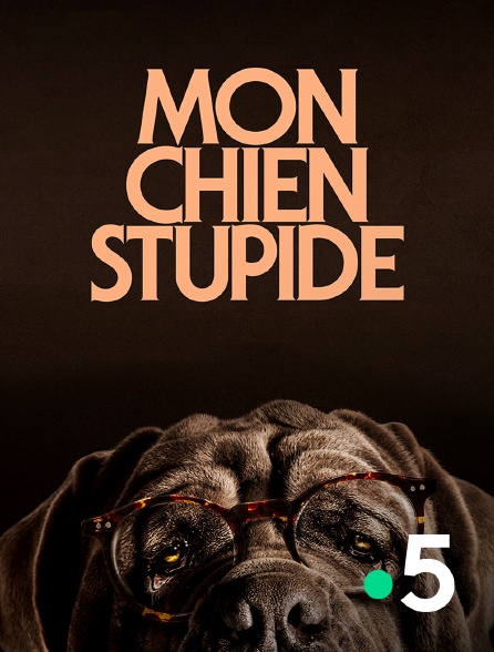 France 5 - Mon chien Stupide
