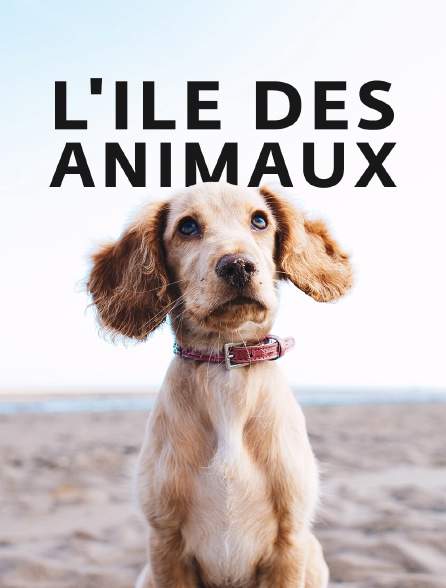 L'île des animaux