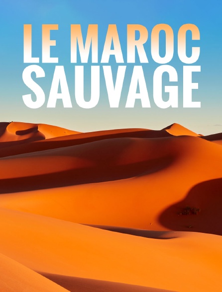 Le Maroc sauvage