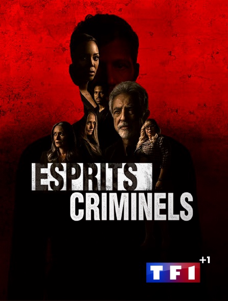 TF1 +1 - Esprits criminels