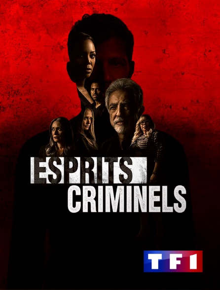 TF1 - Esprits criminels