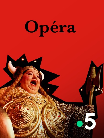 France 5 - Don Quichotte (à l'Opéra Bastille)