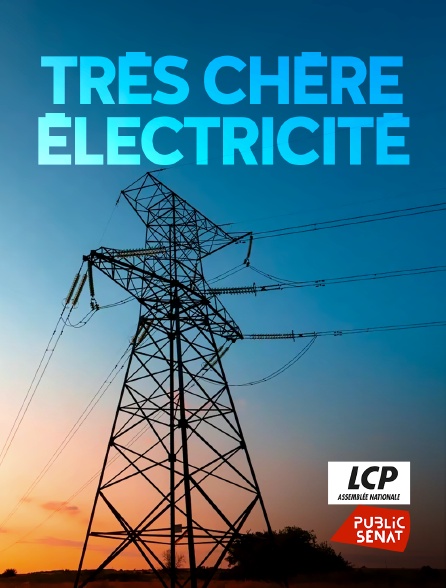 LCP Public Sénat - Très chère électricité