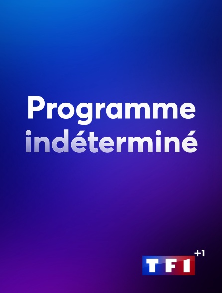 TF1 +1 - Programme indéterminé