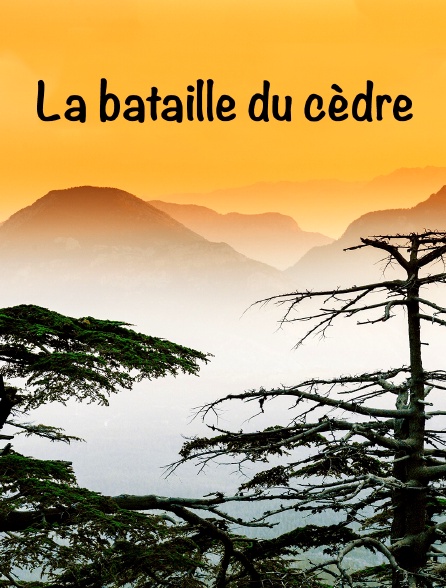 La bataille du cèdre