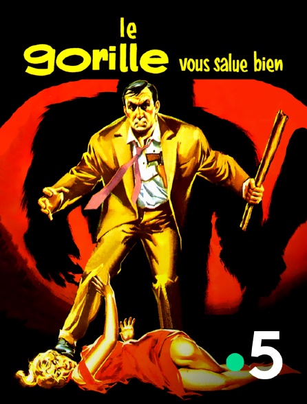 France 5 - Le gorille vous salue bien