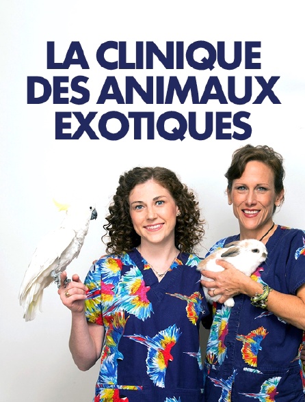 La clinique des animaux exotiques