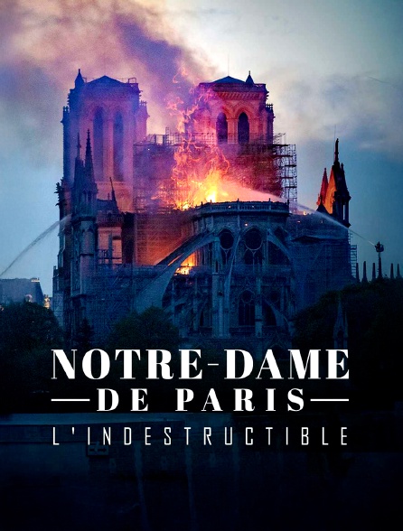 Notre Dame de Paris, l'indestructible