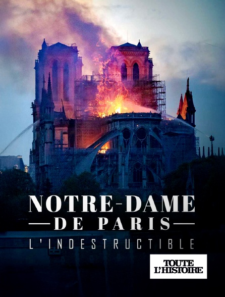 Toute l'Histoire - Notre Dame de Paris, l'indestructible