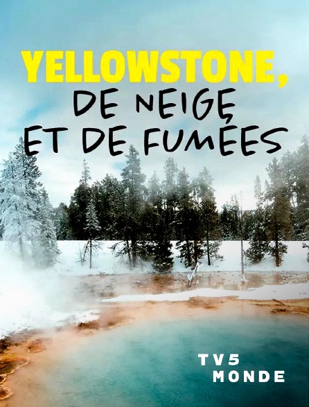 TV5MONDE - Yellowstone, de neige et de fumées