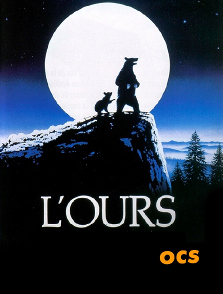 OCS - L'ours