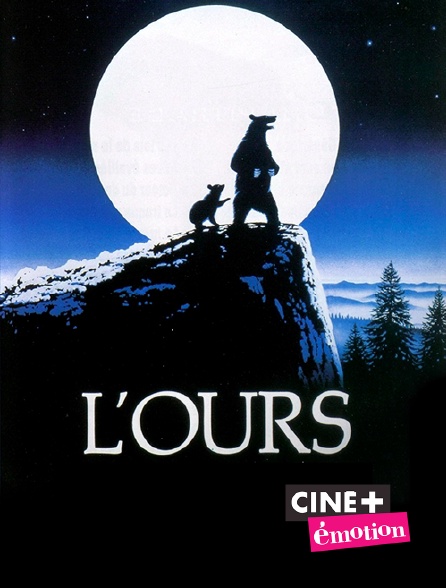 Ciné+ Emotion - L'ours