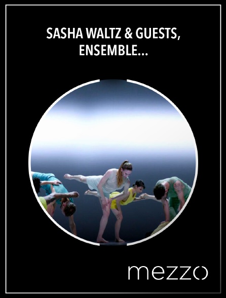 Mezzo - Sasha Waltz & Guests, Ensemble intercontemporain: Terry Riley, In C