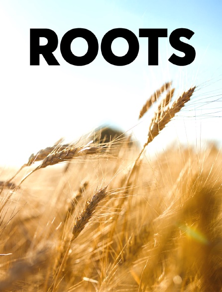 Roots