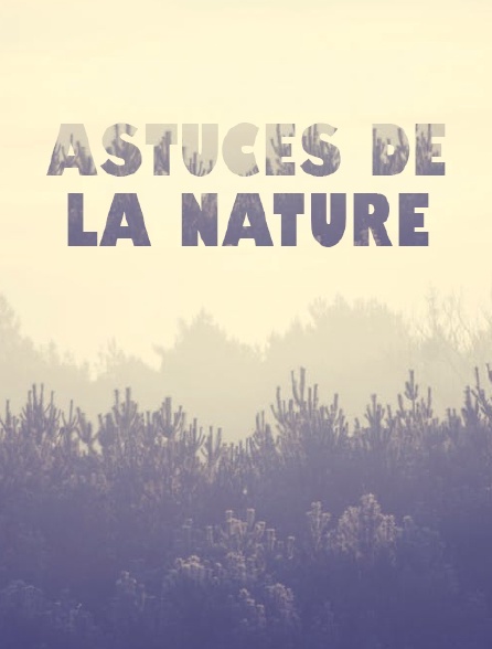 Astuces de la nature