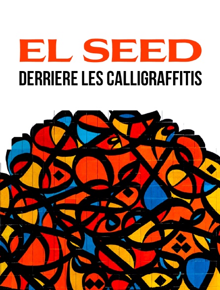 eL Seed : derrière les calligraffitis