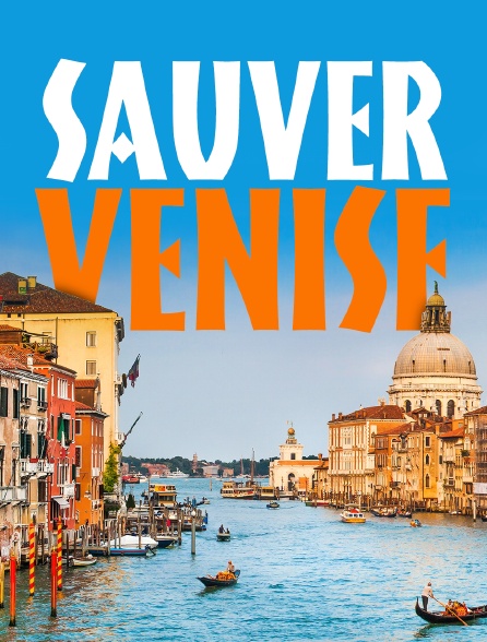 Sauver Venise